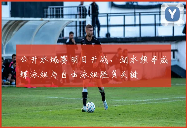 公开水域赛明日开战，划水频率成蝶泳组与自由泳组胜负关键