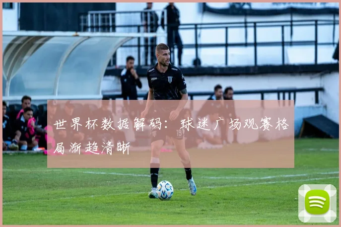 世界杯数据解码：球迷广场观赛格局渐趋清晰