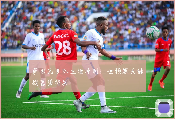 萨尔瓦多队主场冲刺，世预赛关键战蓄势待发
